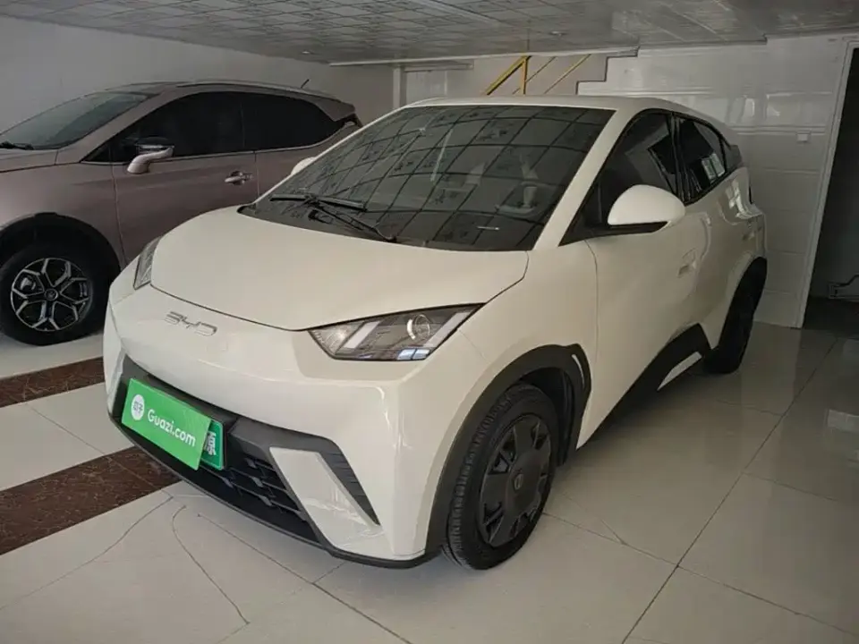 BYD Seagull Vitality Edition 2024