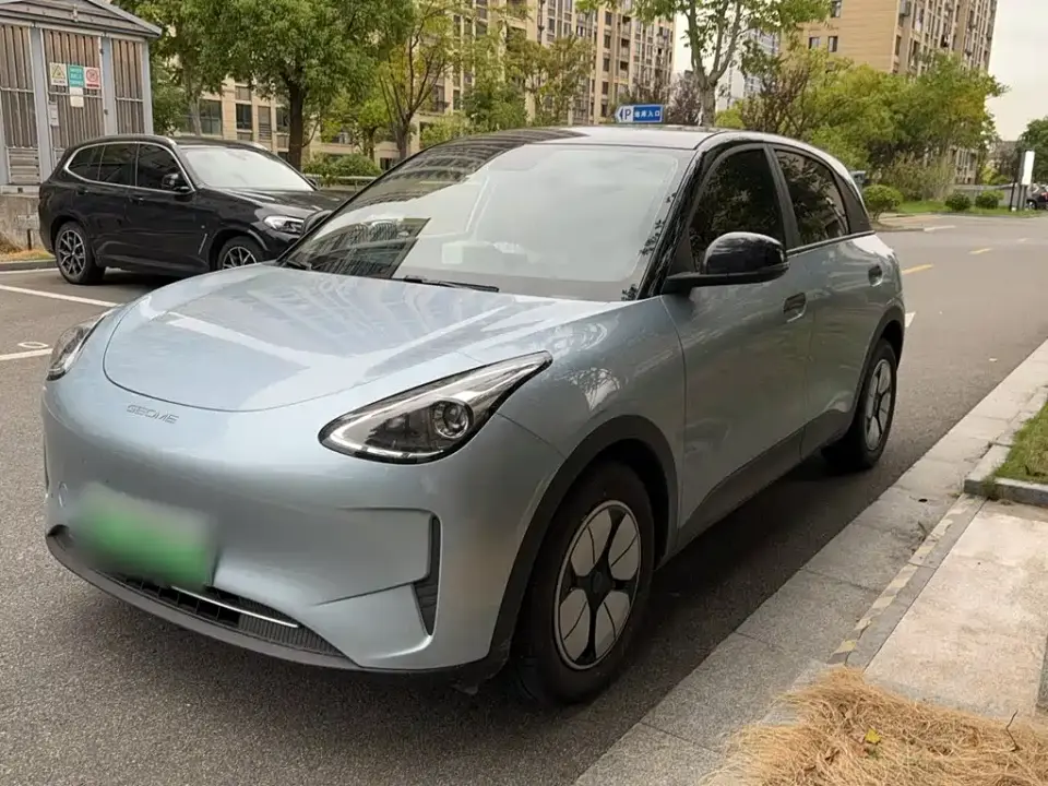 Geely Galaxy Starry Wish Edition 310km Youth Version 2025
