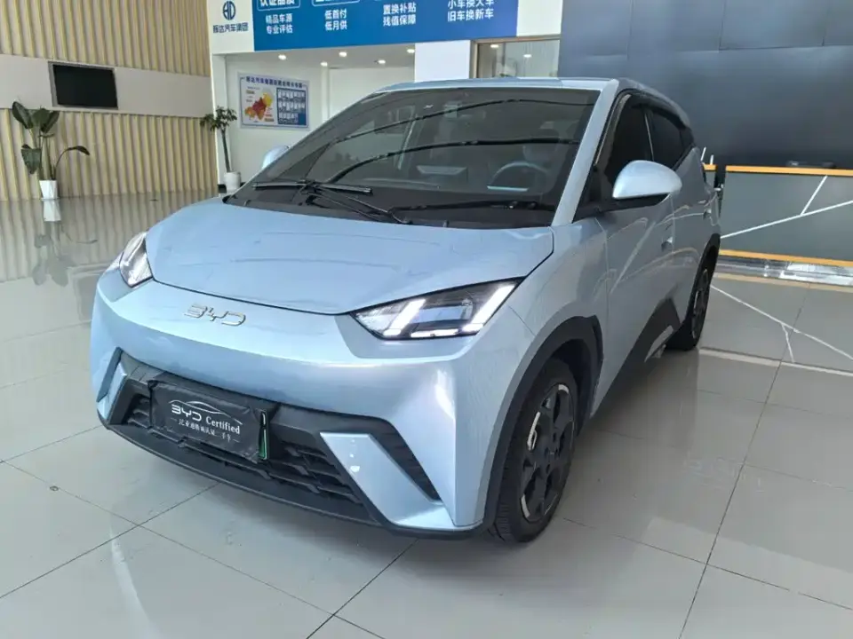 BYD Seagull 305km Freedom 2024