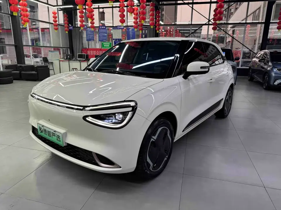 Dongfeng Yipai Nano 01 Model 330 Standard Edition 2026