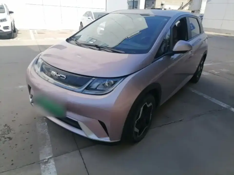 BYD Dolphin Model 405km Fashion Edition 2022