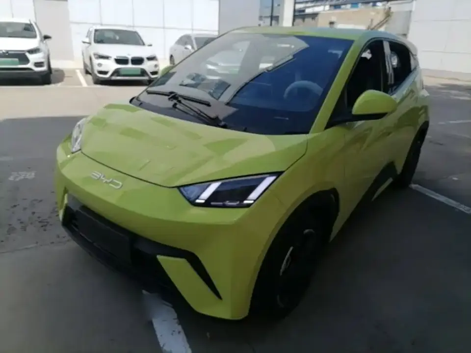 BYD Seagull Freedom Edition 2024