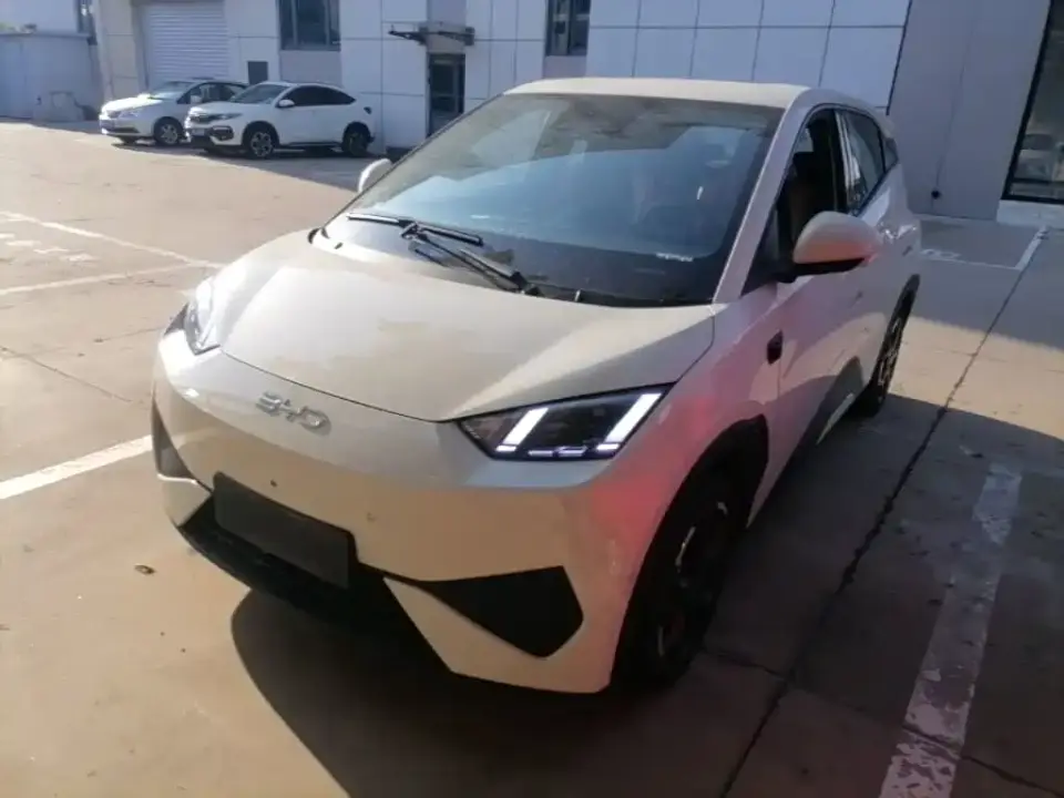 BYD Seagull Smart Drive Edition 305km Freedom Version 2025