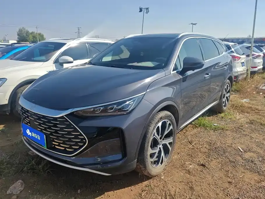 BYD Tang New Energy DM-i 115KM Prestige Type 2024