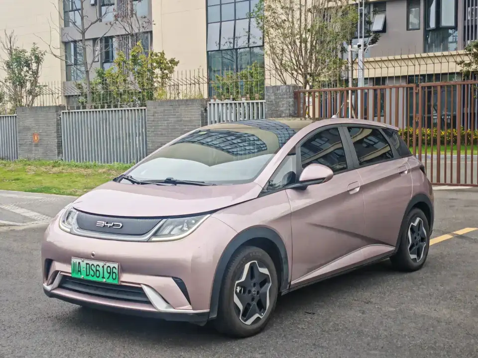 BYD Dolphin Model 405km Fashion Edition 2022