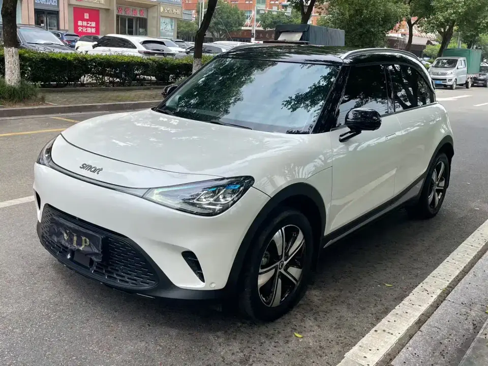 Smart Elf #1 Pro Edition 2024
