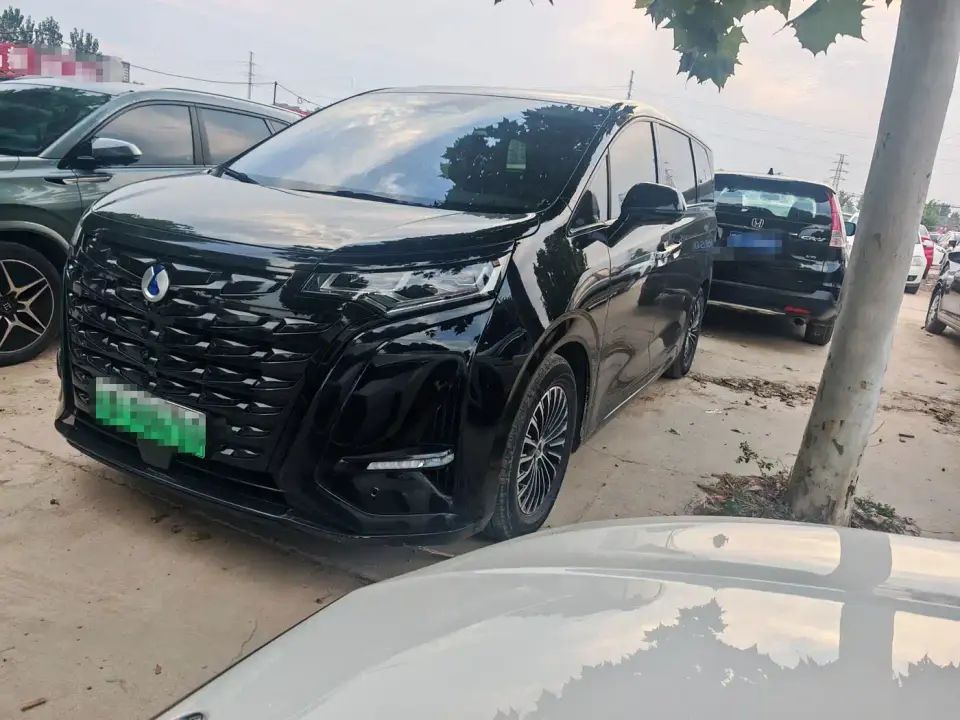 Denza D9 DM-i 970 AWD Flagship 2023