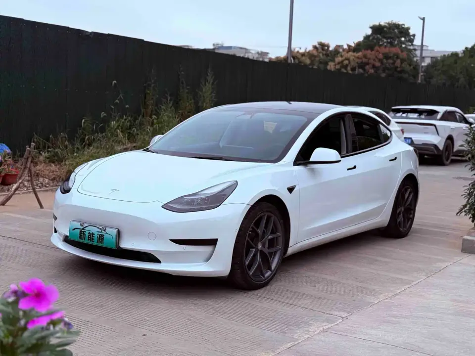Tesla Model 3 Facelift Standard Range RWD Upgrade 3D1 2021