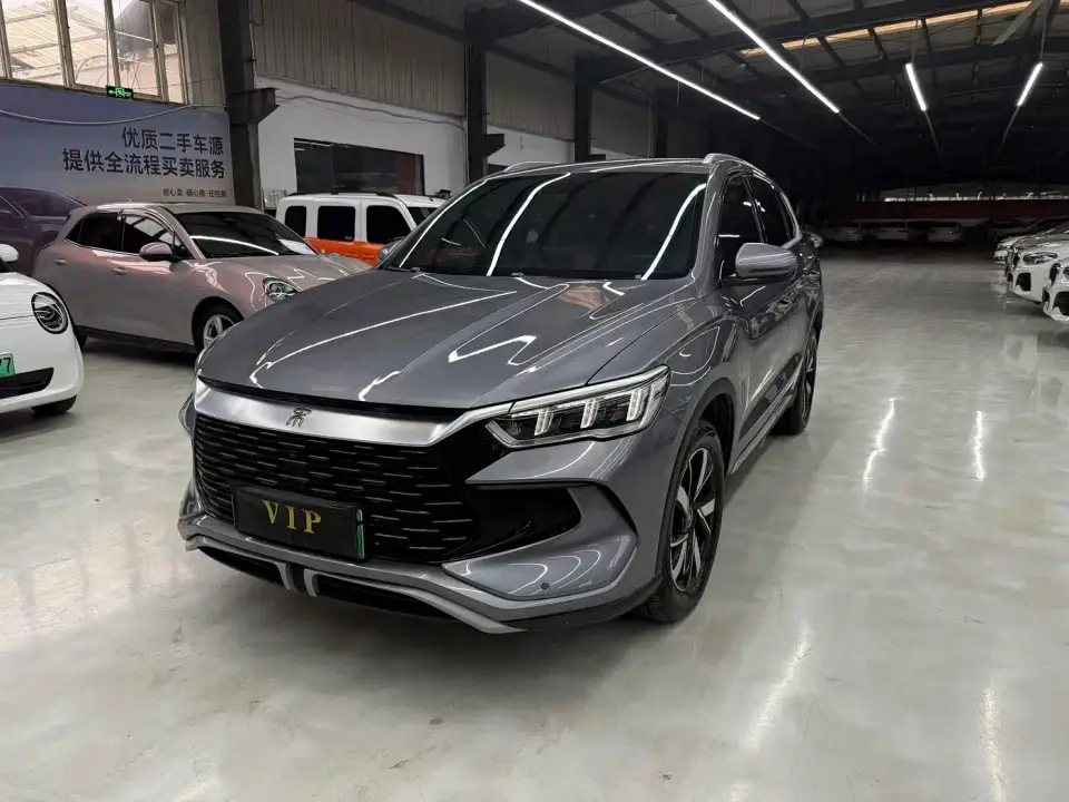 BYD Song Pro New Energy Glory Edition DM-i 71KM Pilot 2024