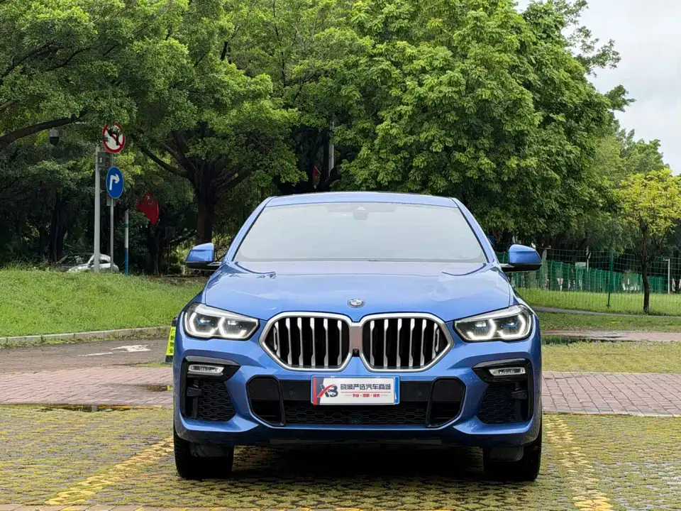 BMW X6 xDrive40i M Sport Package 2020