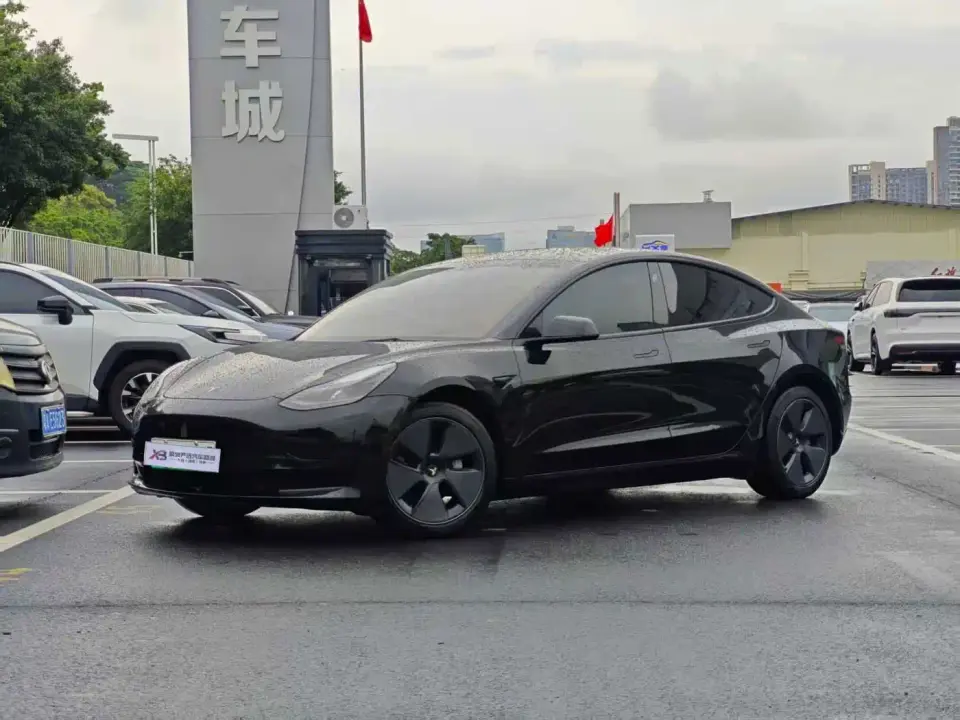 Tesla Model 3 Standard Range Rear-Wheel Drive Upgrade 3D6 2021