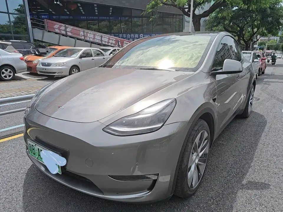 Tesla Model Y Standard Range Rear-Wheel Drive 2021