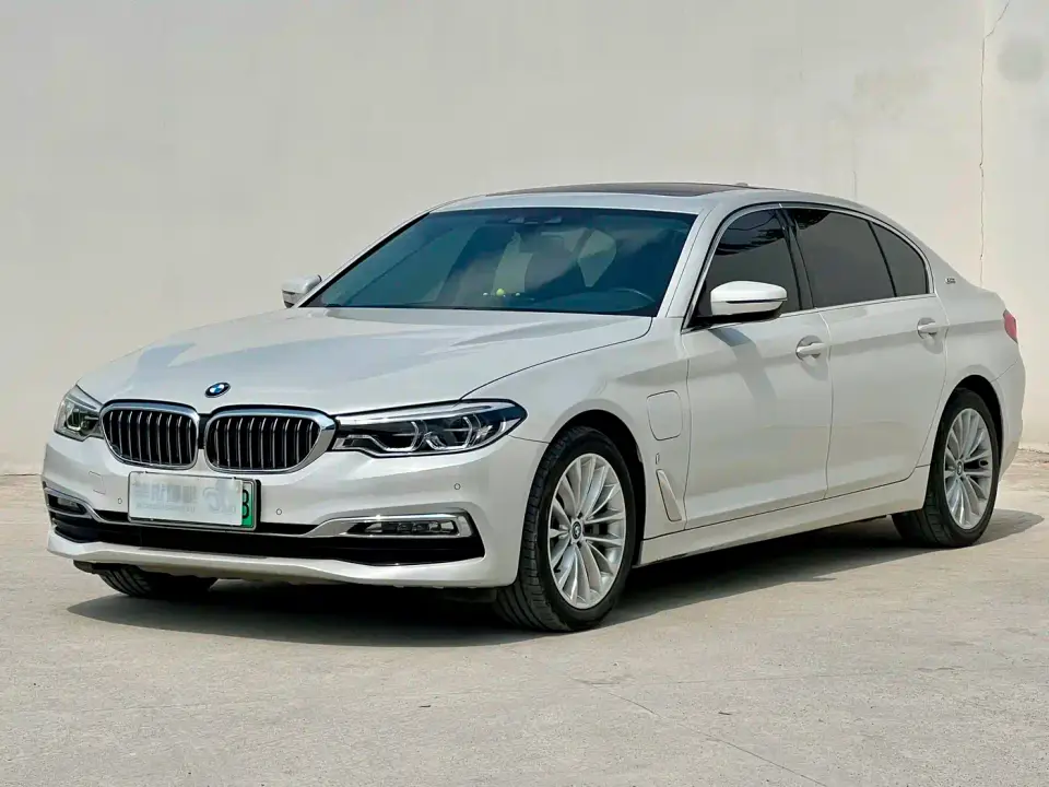 BMW 5 Series New Energy 530Le Luxury Package 2019