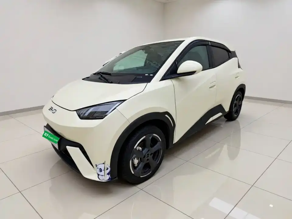 BYD Seagull Freedom Edition 2024
