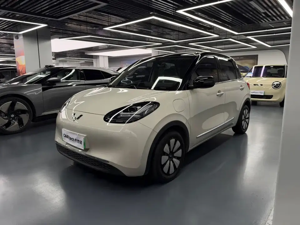 Wuling Motors Wuling Bingo 333km Smart Connect Edition 2024