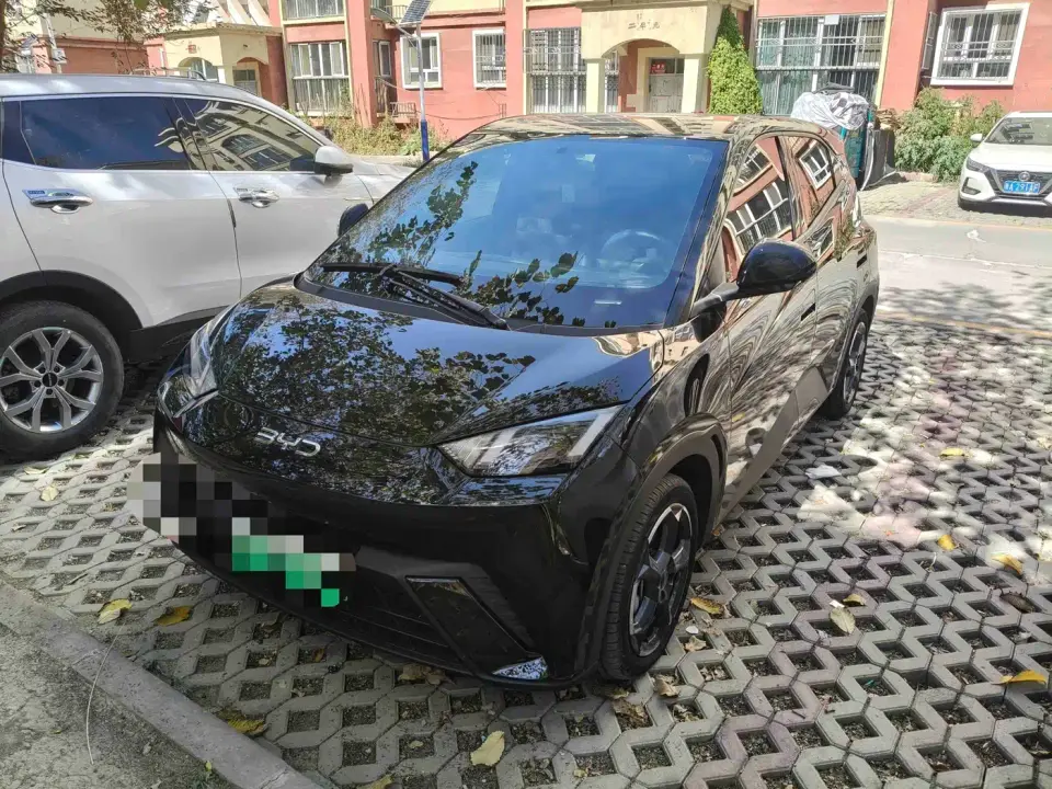 BYD Seagull Glory Edition 405km Soaring Edition 2024