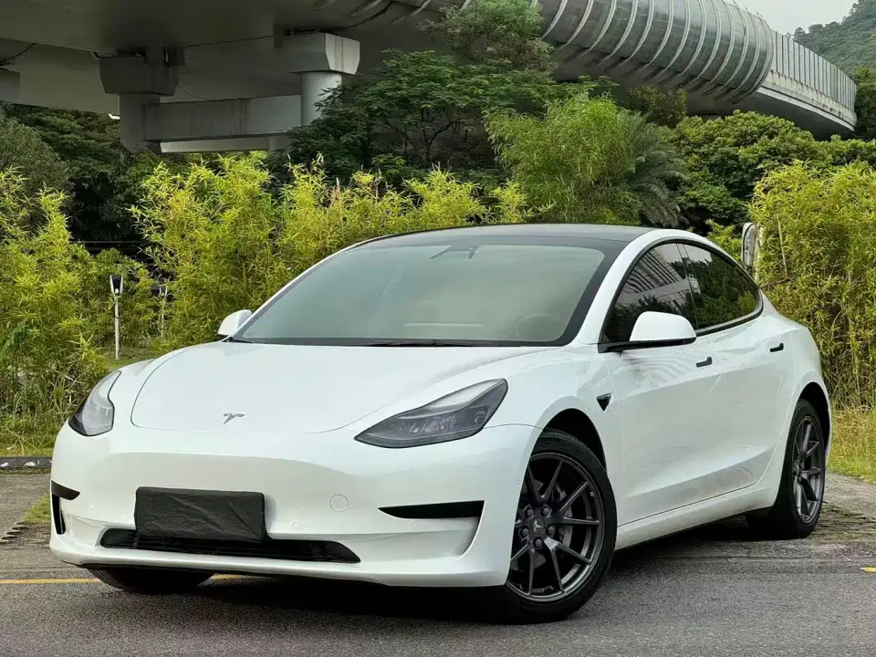 Tesla Model 3 Standard Range Rear-Wheel Drive Upgrade 2021