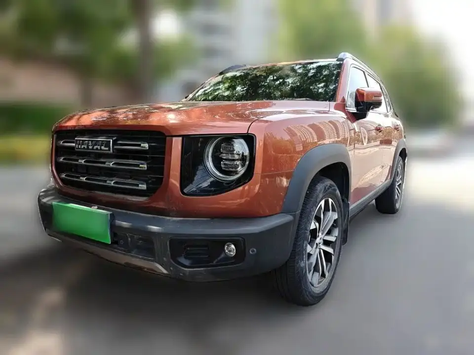 Haval Big Dog 1.5T DCT 2WD Border Collie Edition 2022