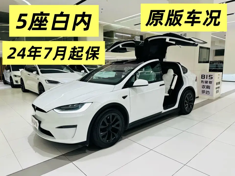 Tesla Model X Dual Motor All-Wheel Drive Edition 2023
