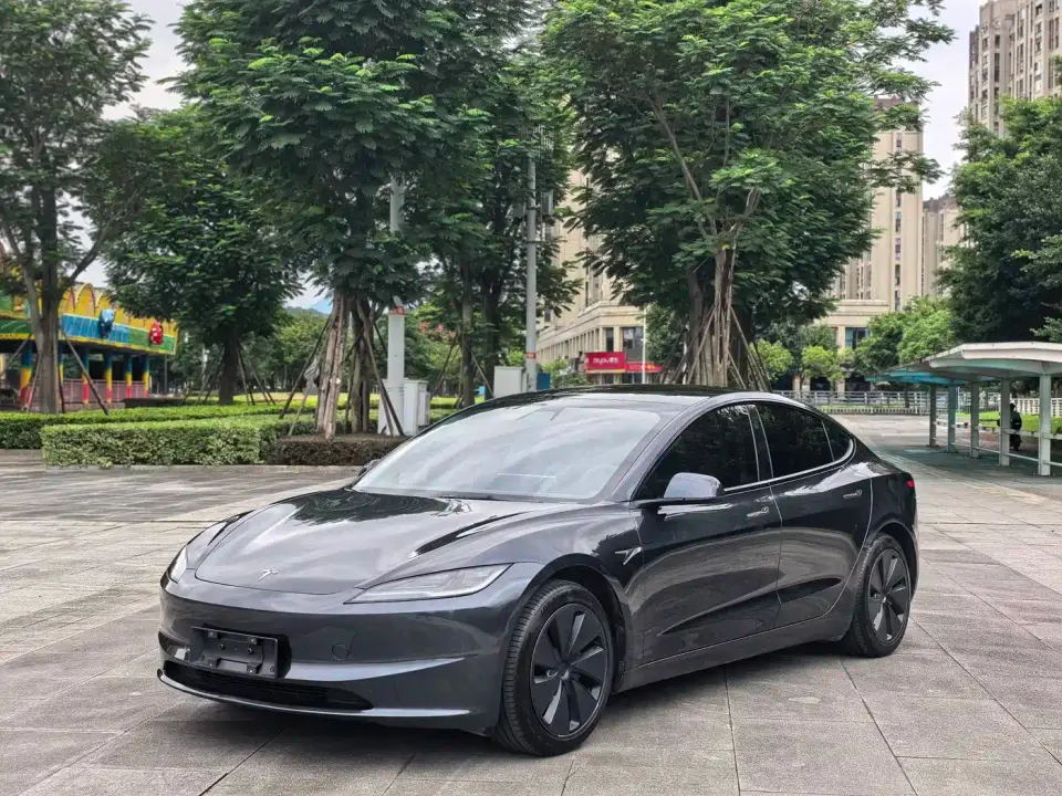 Tesla Model 3 Model Rear-Wheel Drive Edition 2025