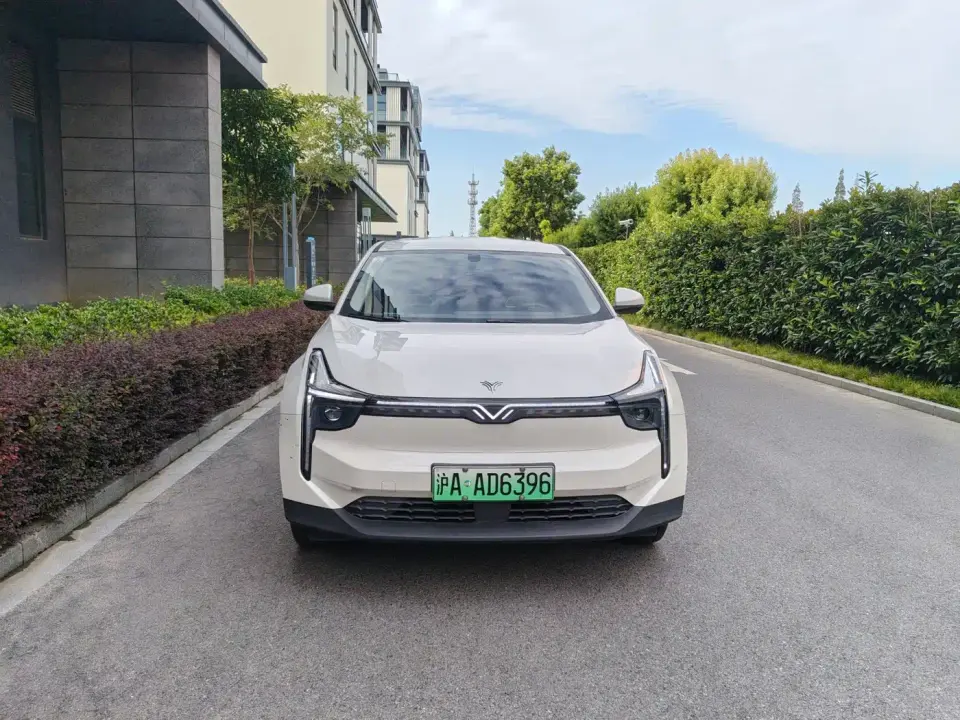 Neta U Pro 400 Cruise Edition 2021