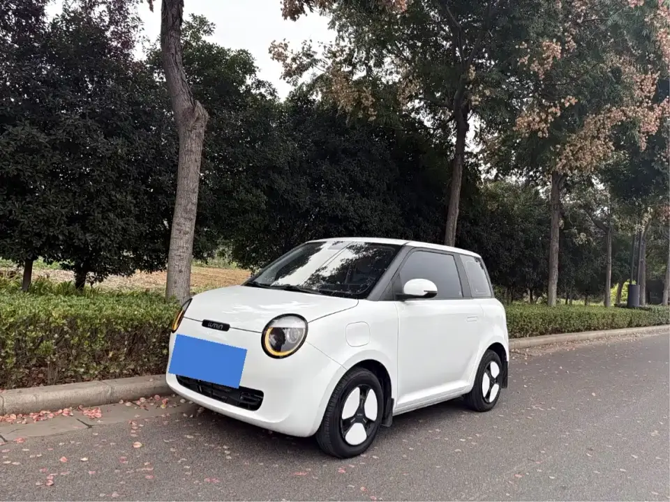 Changan Qiyuan Changan Lumin 210km Sweet Edition 2023
