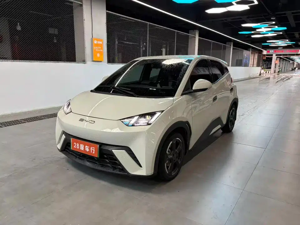 BYD Seagull Glory Edition 305km Freedom Edition 2024
