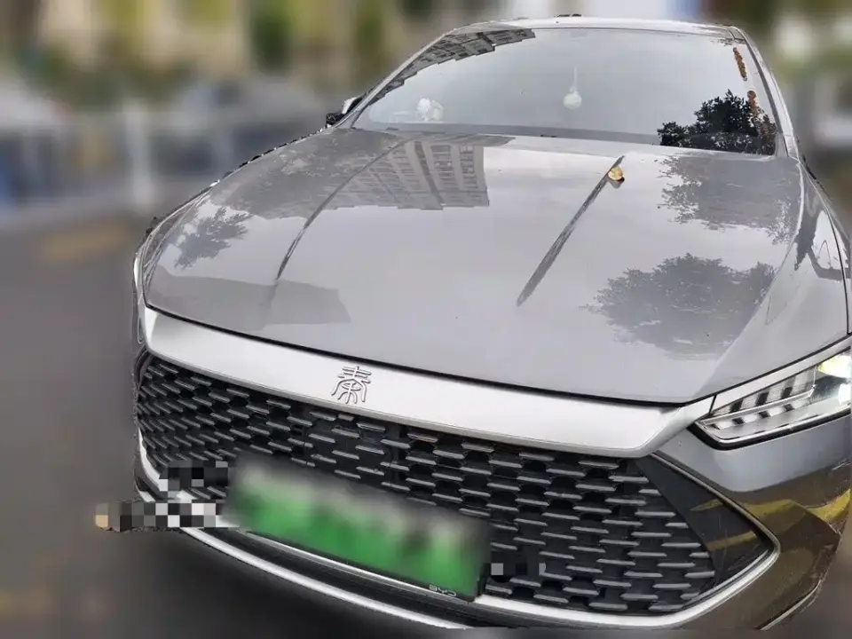 BYD Qin PLUS Glory Edition DM-i 55KM Leading 2024