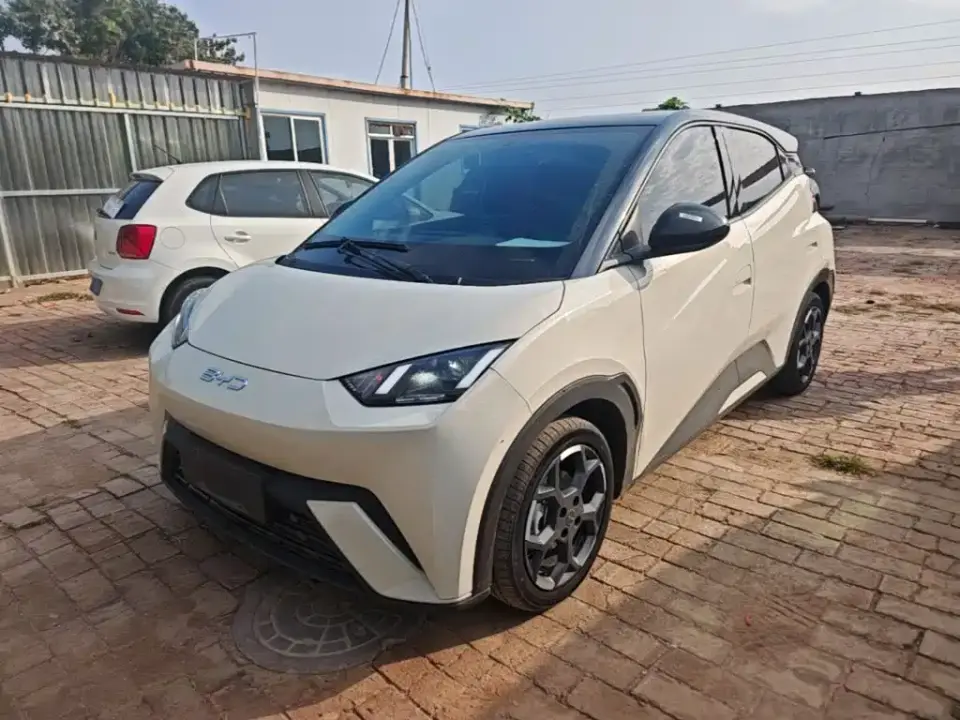 BYD Seagull 305km Freedom 2024