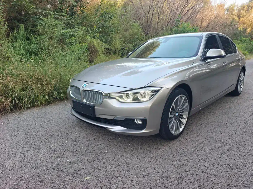 BMW 3 Series 320Li Fashion Type 2019