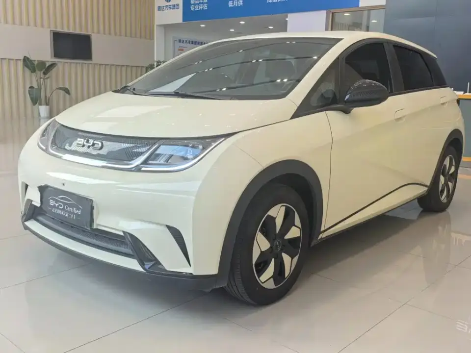 BYD Dolphin 420km Freedom Edition 2024