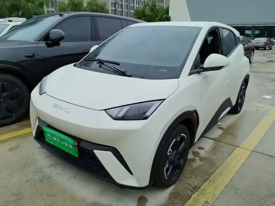 BYD Seagull Freedom Edition 2023