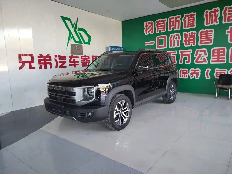 Haval Big Dog 1.5T DCT Border Collie Edition 2024