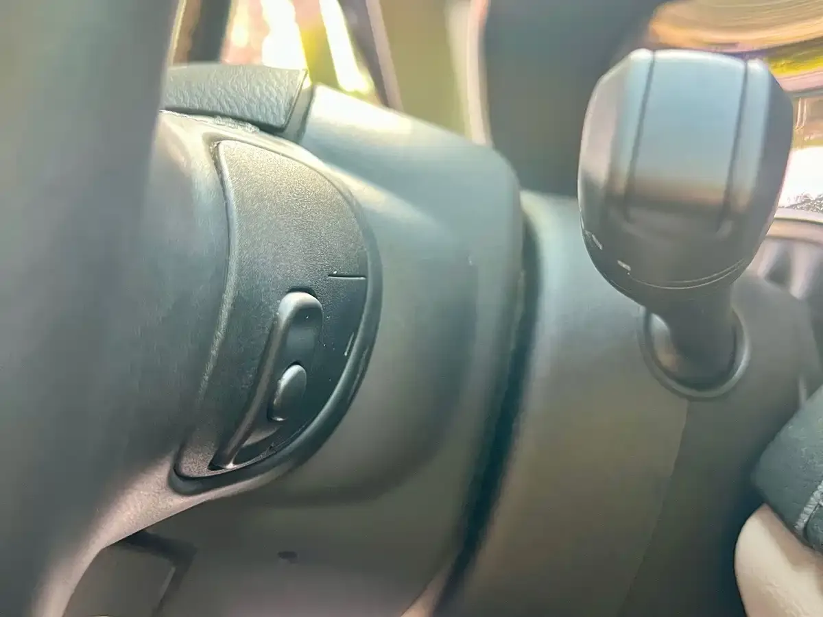 Chrysler Grand Voyager (Import) 3.6L Premium Edition 2019 — фото 31