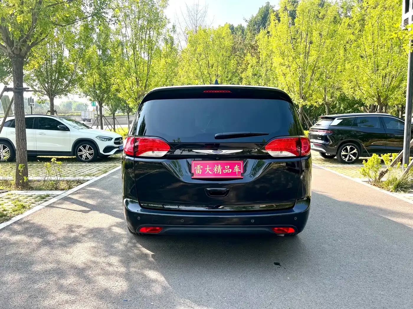 Chrysler Grand Voyager (Import) 3.6L Premium Edition 2019 — фото 5