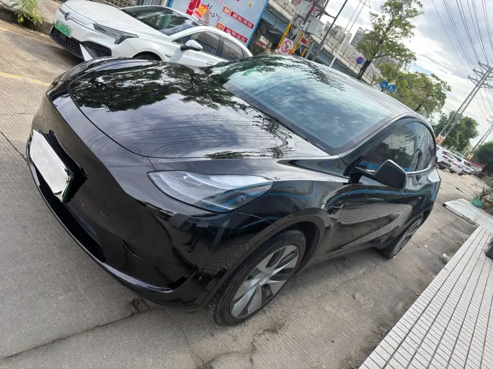 Tesla Model Y Rear-Wheel Drive Version 2022