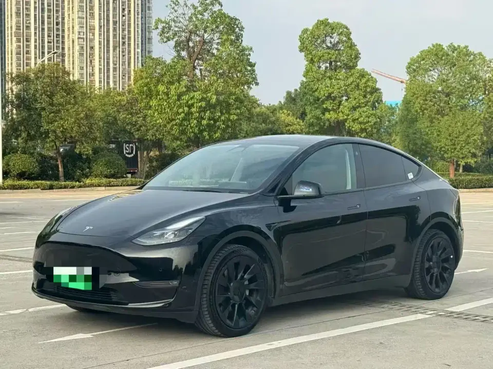 Tesla Model Y Long Range AWD 2022