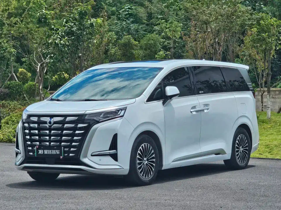 Denza D9 DM-i 980 AWD Prestige 2024