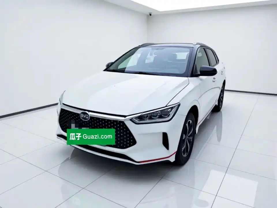 BYD e2 Standard Range Intelligent Comfort 2020