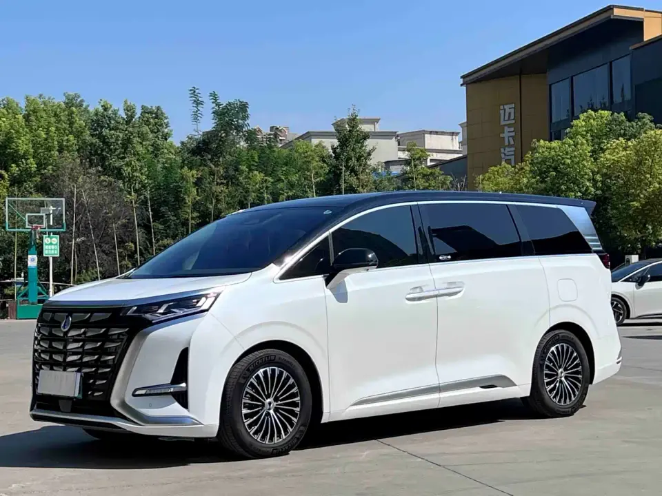 Denza D9 DM-i 1040 Premium 2023