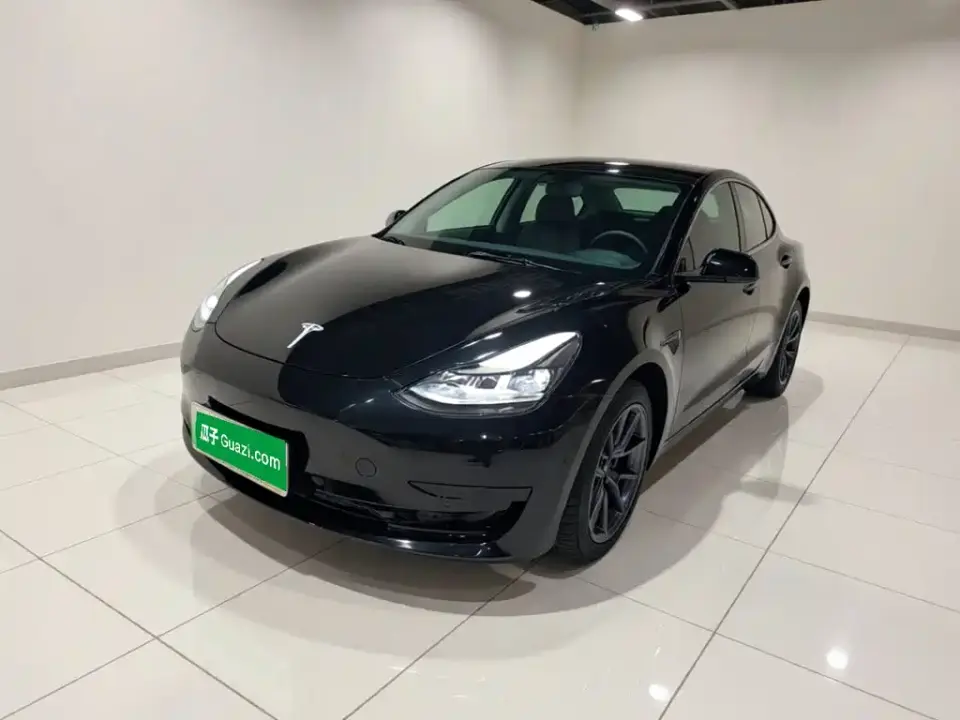 Tesla Model 3 Model Rear-Wheel Drive Version 2022
