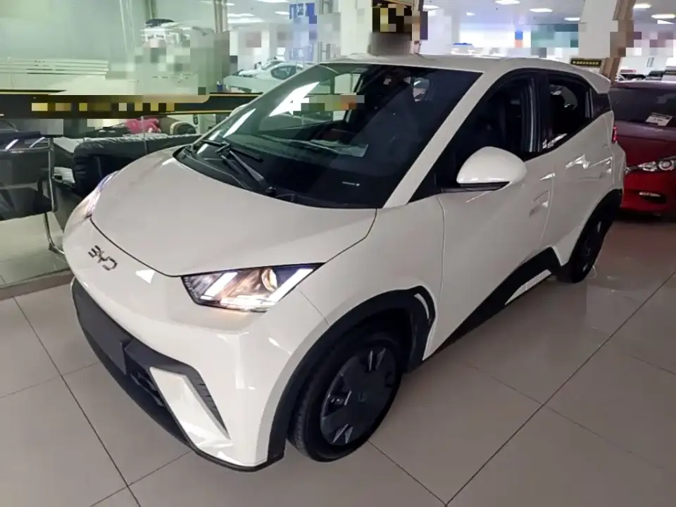 BYD Seagull Vitality Edition 2025