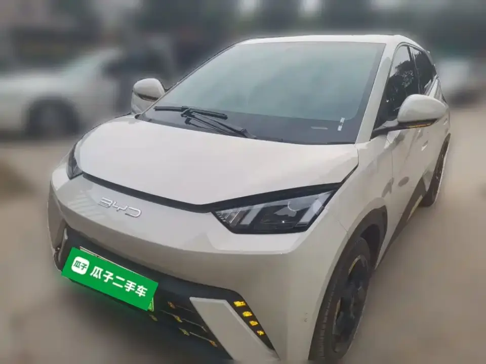 BYD Seagull Freedom Edition 2023