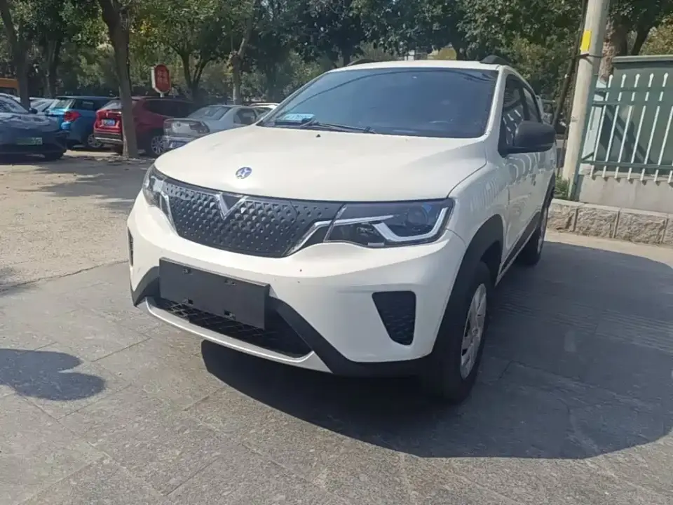 Venucia e30 Elite Edition 2022