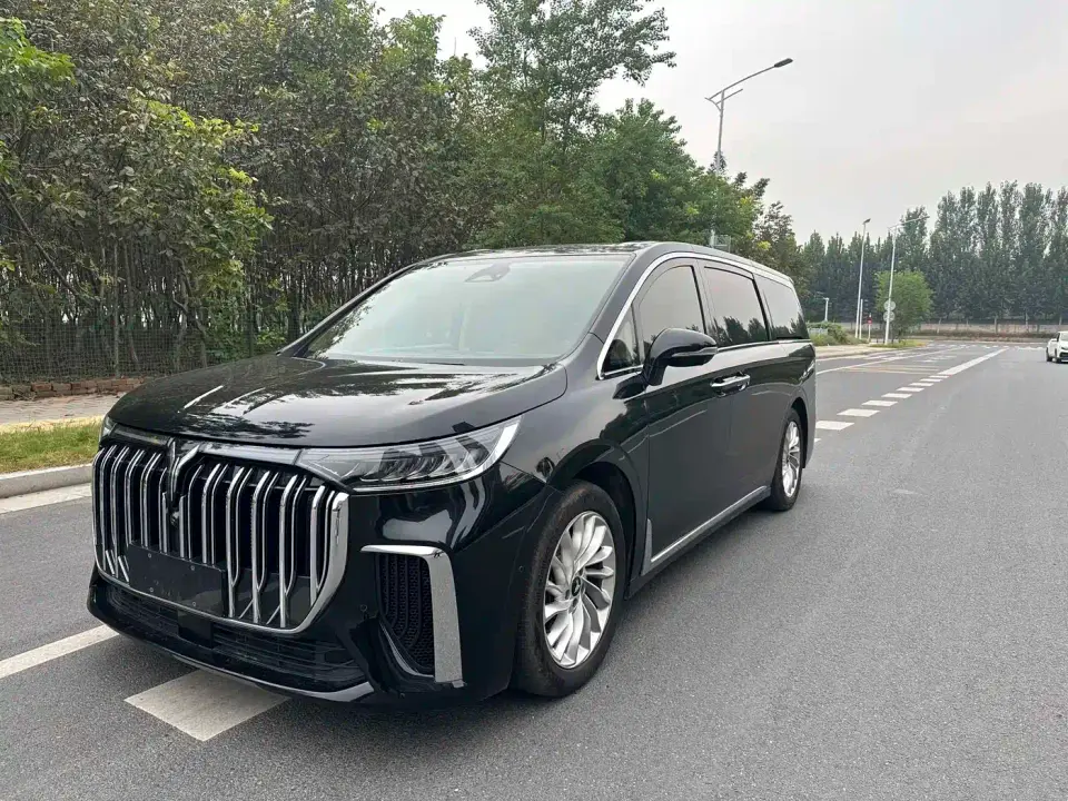 Voyah Auto Voyah Dreamer PHEV Extended Range Premium Edition 2024