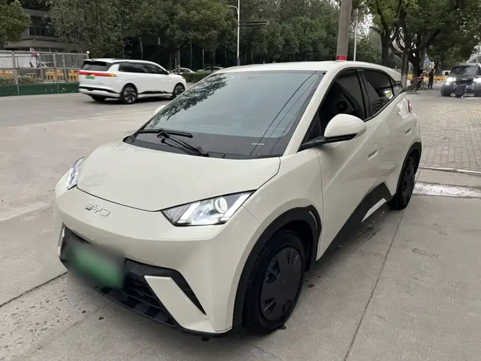 BYD Seagull 305km Vitality 2025