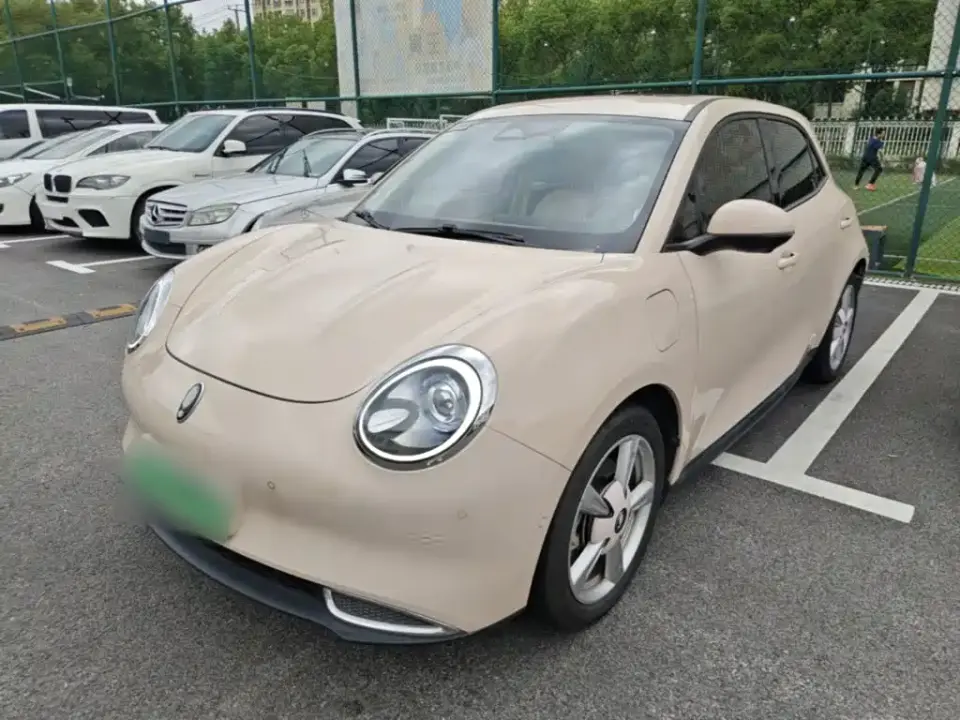 ORA Good Cat 400km Standard Range Athena Edition (LFP) 2021