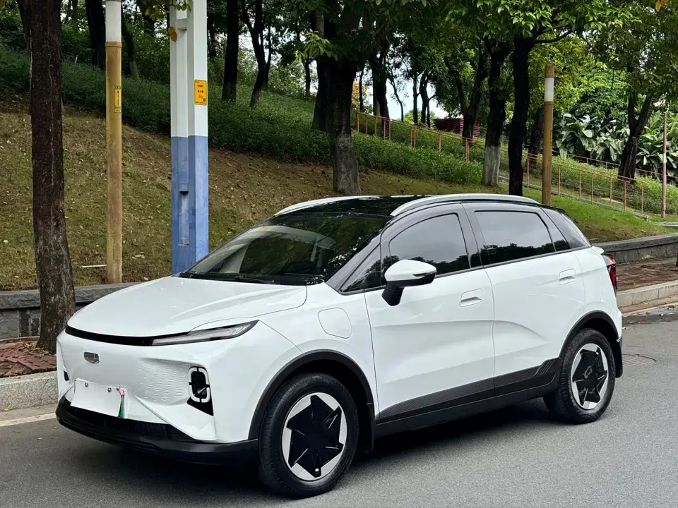 Geely Geometry E Firefly Model 301km Starlight 2023