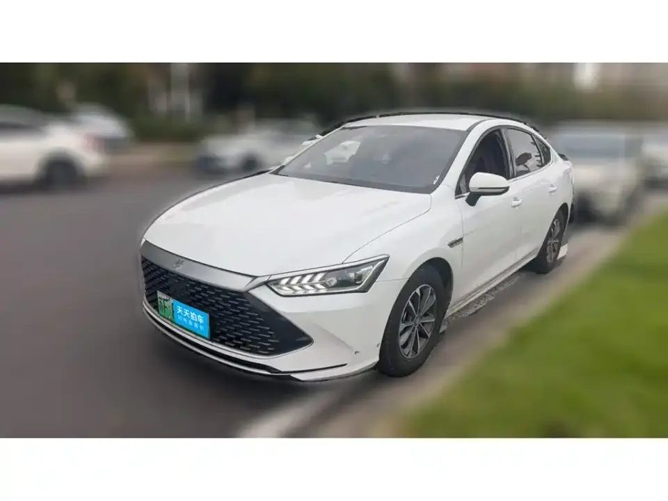 BYD Qin PLUS Glory Edition DM-i 55KM Leading 2024