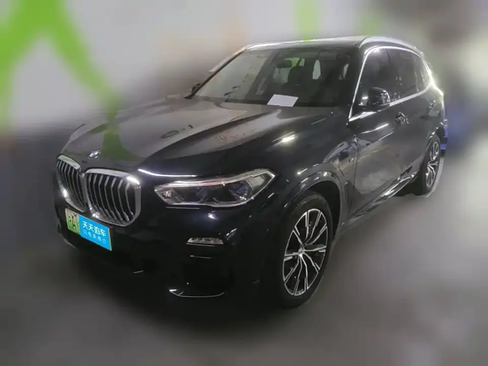 BMW X5 New Energy(Imported) Facelift xDrive45e M Sport Package 2021